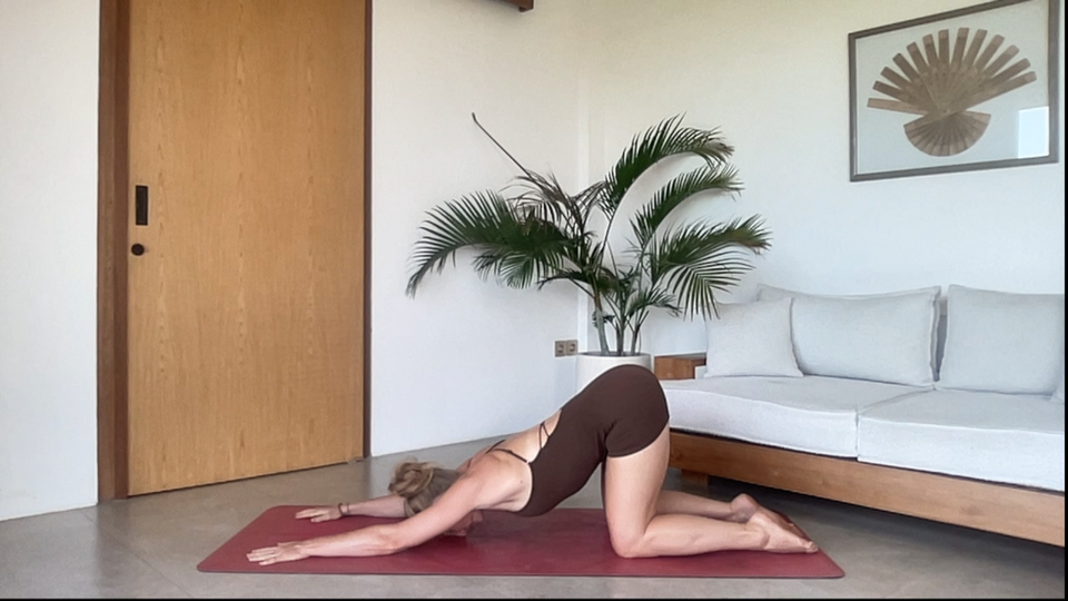 All Over Back and Chest Care